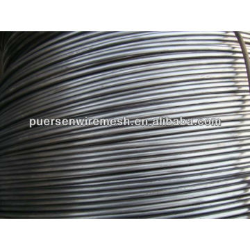 Brin SAE1012 / 1018 Nail Wire